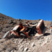Accidente en Salta: una camioneta cae 30 metros y sus ocupantes sobreviven