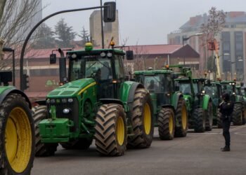 El Gobierno convocó al sector agrario y a las empresas de semillas para avanzar en la reforma de la ley de semillas