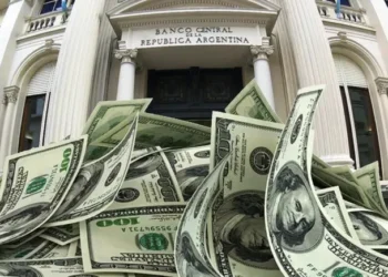 El Banco Central adquirió más de USD 11.000 millones en 2026 a pesar de la desaceleración de las compras