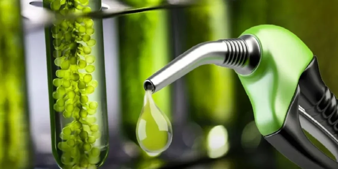 Avanza en el Senado la propuesta de ley de biocombustibles: Aumento del corte del 10% para biodiésel y 15% para bioetanol