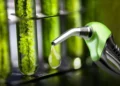 Avanza en el Senado la propuesta de ley de biocombustibles: Aumento del corte del 10% para biodiésel y 15% para bioetanol