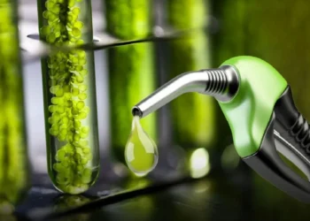 Avanza en el Senado la propuesta de ley de biocombustibles: Aumento del corte del 10% para biodiésel y 15% para bioetanol