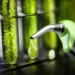 Avanza en el Senado la propuesta de ley de biocombustibles: Aumento del corte del 10% para biodiésel y 15% para bioetanol