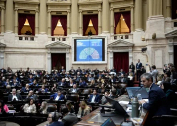 El Mundial y el feriado postergan la actividad en la Cámara de Diputados mientras el Senado define su agenda
