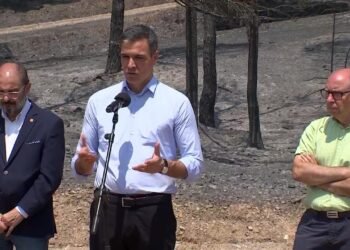 Sánchez asegura que España avanza hacia la superación de la peor fase de incendios