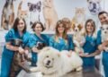 Celebración del Día del Veterinario en Argentina
