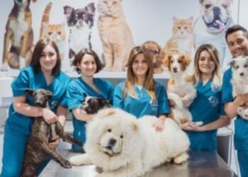 Celebración del Día del Veterinario en Argentina