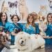 Celebración del Día del Veterinario en Argentina