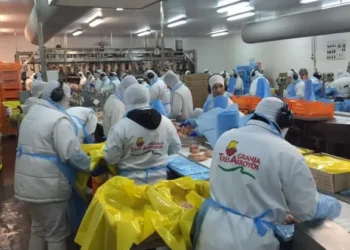 Granja Tres Arroyos desvinculó a 250 trabajadores en Entre Ríos y atribuyó la decisión a la caída de la actividad