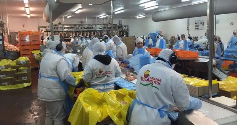 Granja Tres Arroyos desvinculó a 250 trabajadores en Entre Ríos y atribuyó la decisión a la caída de la actividad