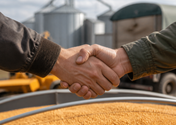 Una alternativa para vender más al campo: cómo funciona la cesión de contratos de granos