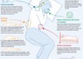 Consejos de un especialista sobre la postura ideal para dormir