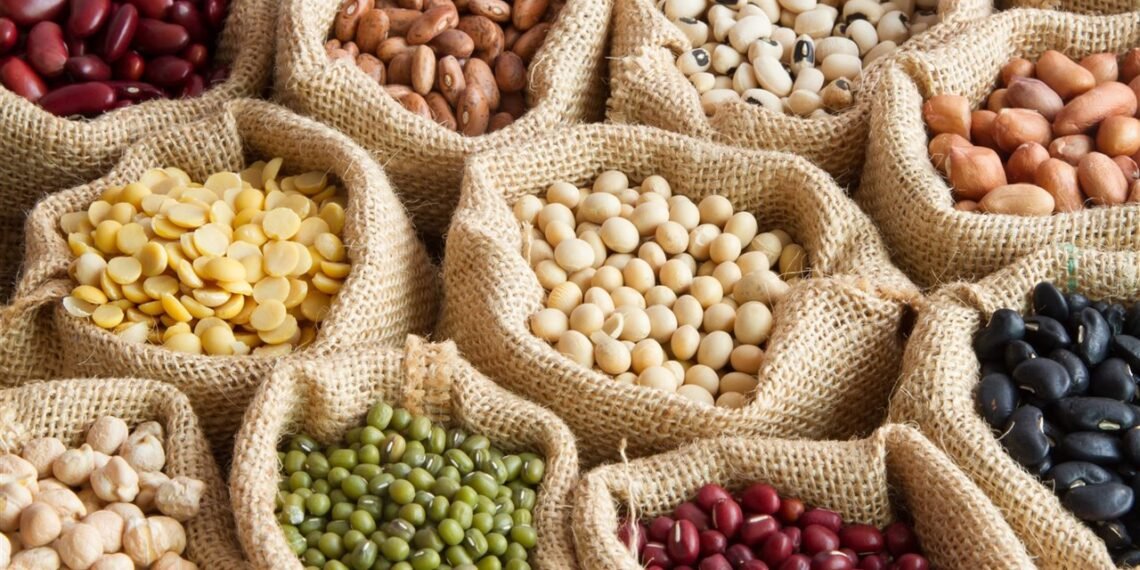 Legumbres descartadas para consumo humano: una alternativa para reducir costos en la producción ganadera