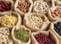 Legumbres descartadas para consumo humano: una alternativa para reducir costos en la producción ganadera