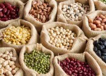 Legumbres descartadas para consumo humano: una alternativa para reducir costos en la producción ganadera