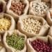 Legumbres descartadas para consumo humano: una alternativa para reducir costos en la producción ganadera