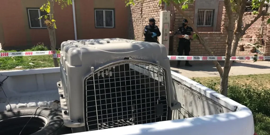Fallece una niña de cuatro meses tras ser atacada por un pitbull en Malvinas Argentinas