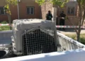 Fallece una niña de cuatro meses tras ser atacada por un pitbull en Malvinas Argentinas