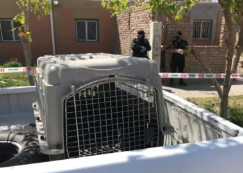 Fallece una niña de cuatro meses tras ser atacada por un pitbull en Malvinas Argentinas