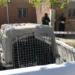 Fallece una niña de cuatro meses tras ser atacada por un pitbull en Malvinas Argentinas