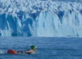 Natación en aguas gélidas: el Mundial de Natación en el Perito Moreno