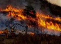 Reforma en la Ley de Manejo del Fuego: nuevas restricciones y sus implicancias
