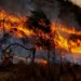 Reforma en la Ley de Manejo del Fuego: nuevas restricciones y sus implicancias