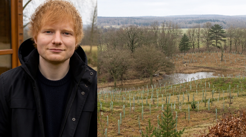 Ed Sheeran invierte más de 5 millones de dólares en un campo que se convirtió en refugio natural