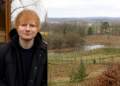 Ed Sheeran invierte más de 5 millones de dólares en un campo que se convirtió en refugio natural