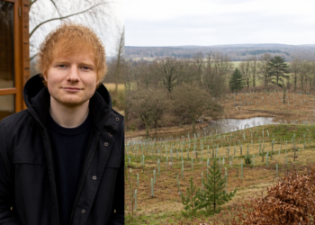 Ed Sheeran invierte más de 5 millones de dólares en un campo que se convirtió en refugio natural