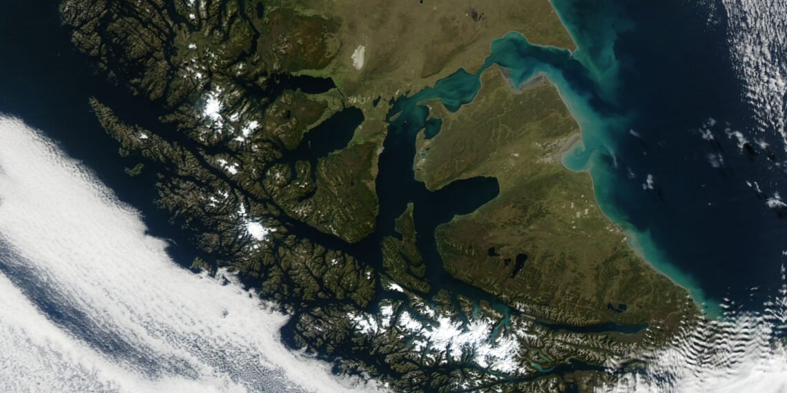 La historia de los castores en Tierra del Fuego y el desafío de restaurar los bosques