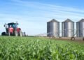 El agro argentino podría alcanzar un récord histórico de exportaciones pese a una menor cosecha