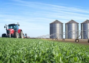 El agro argentino podría alcanzar un récord histórico de exportaciones pese a una menor cosecha