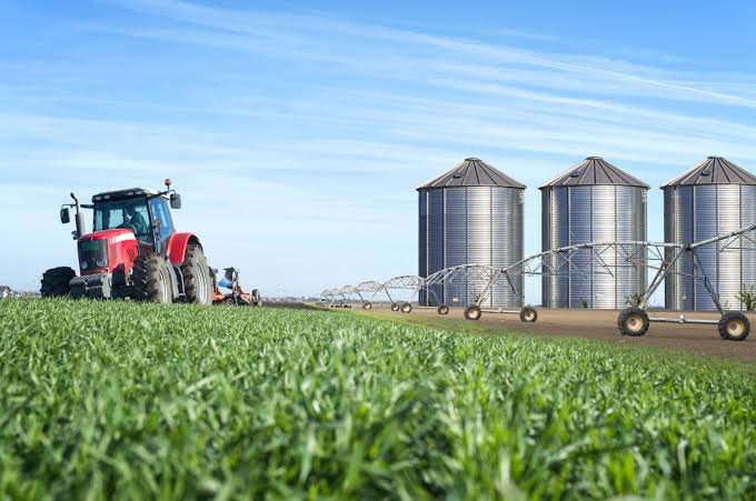 El agro argentino podría alcanzar un récord histórico de exportaciones pese a una menor cosecha