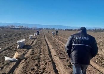 UATRE reclama al Gobierno una prórroga del régimen laboral para trabajadores rurales temporarios