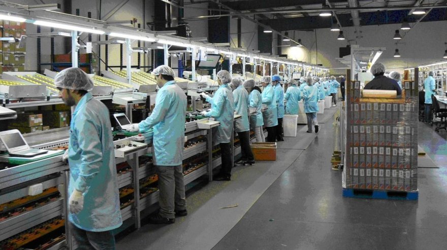 La industria y la construcción rebotaron en agosto, pero siguen por debajo de 2025