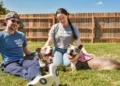 Las parejas DINKWAD: un nuevo modelo de convivencia que se expande