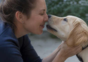 Veterinarios afirman que los mordiscos suaves de los perros son comunicación, no agresividad