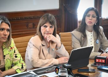 Bullrich busca reactivar el Senado mientras desafía al Gobierno en redes sociales