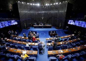 Mercados de carbono: qué propone la ley aprobada por el Senado y cuáles son sus riesgos ambientales